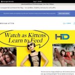Americankittens Join Discount