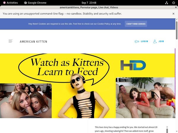 Americankittens Join Discount
