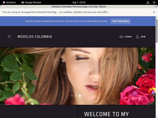 Andycase.modelcentro.com Vendo Page