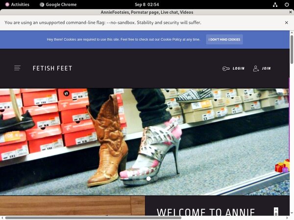 AnnieFootsies Paswords