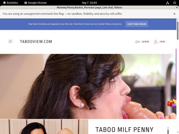 Barber Penny Mommy Premium Accounts