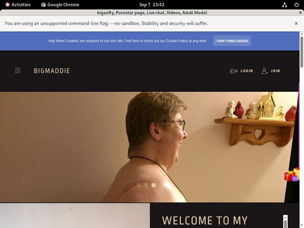 Bigsofty Free Password