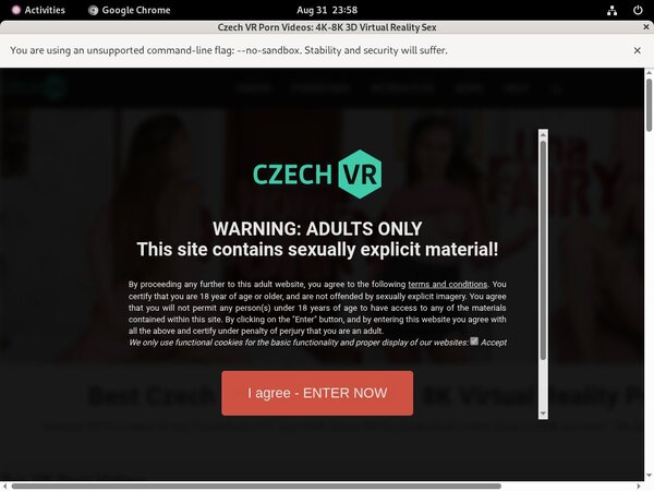 Czech VR With Amex
