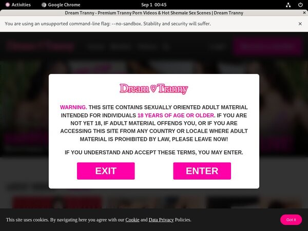 Dream Tranny Vendo Page