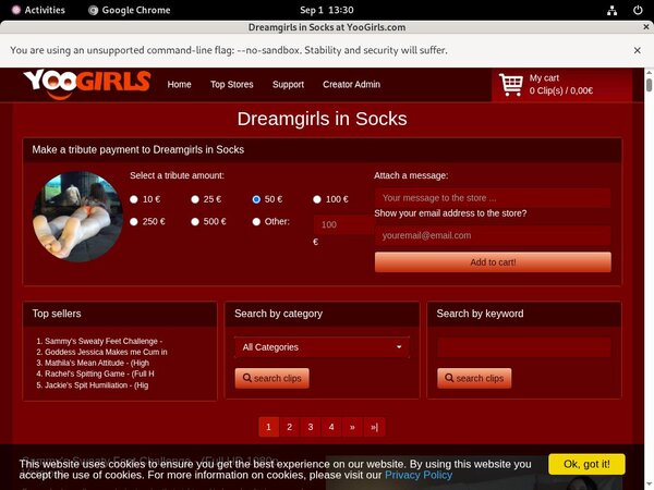 DreamgirlsInSocks Special Deal