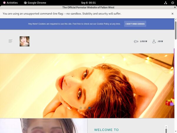 FallonWest Adult Passwords