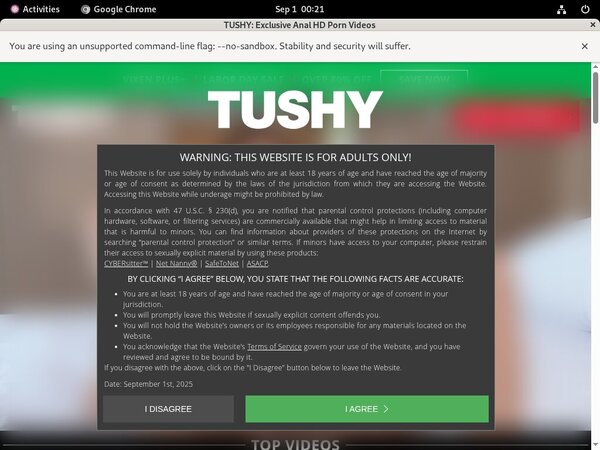 Free Account For Tushy.com
