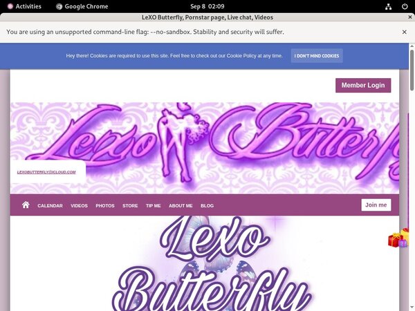 Free LeXOButterfly Login Account Free LeXOButterfly Login Account