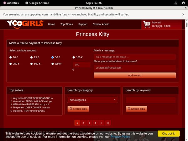 Free Princess Kitty Login