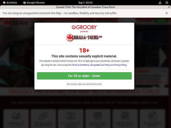 Free TGirl Canada Logins