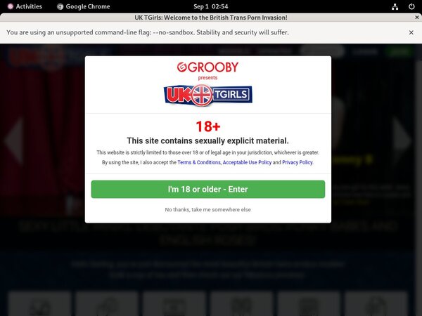 Free Uk-tgirls.com Account Discount