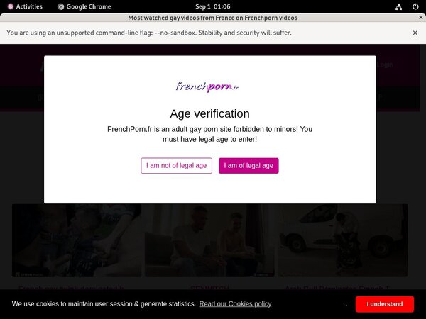 French Porn Gay Register Form