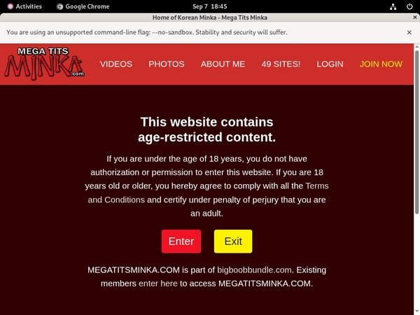 Get Free Megatitsminka.com Logins