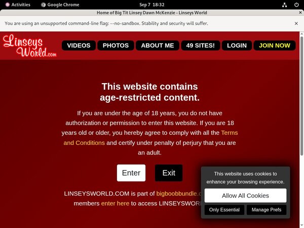 How To Access Linseys World