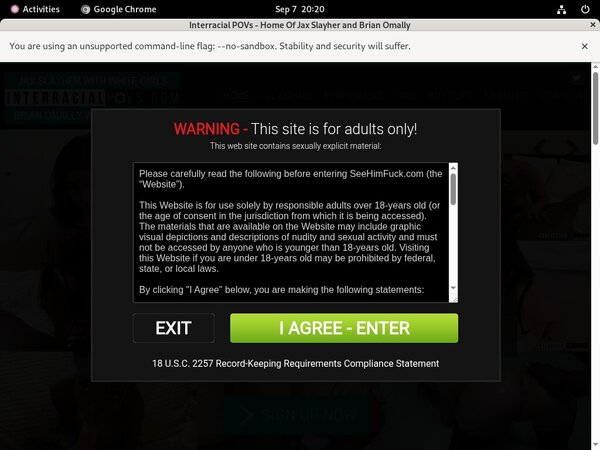 Interracialpovs.com Vendo Page