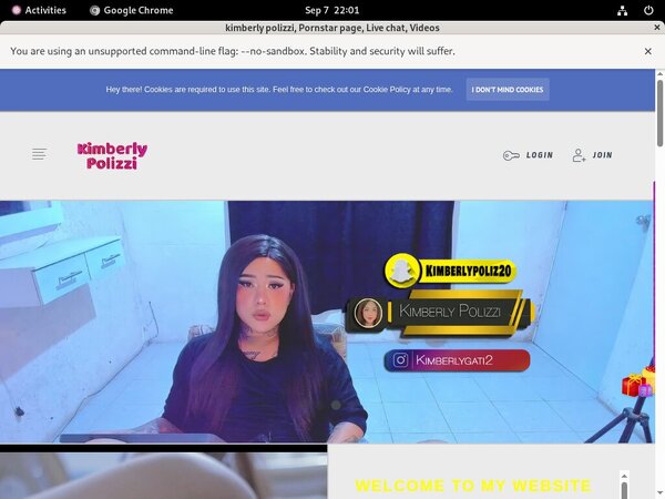 Kimberly Polizzi $1 Porn Trial