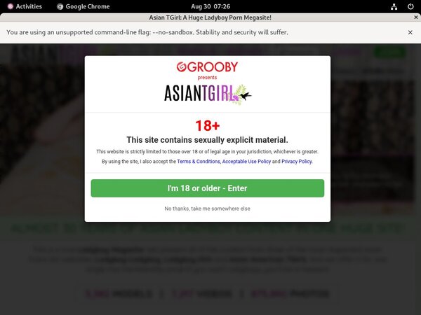 Ladyboy Ladyboy Siterip