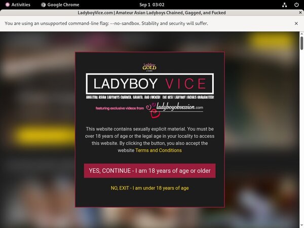 Ladyboy Vice Payporn Discount