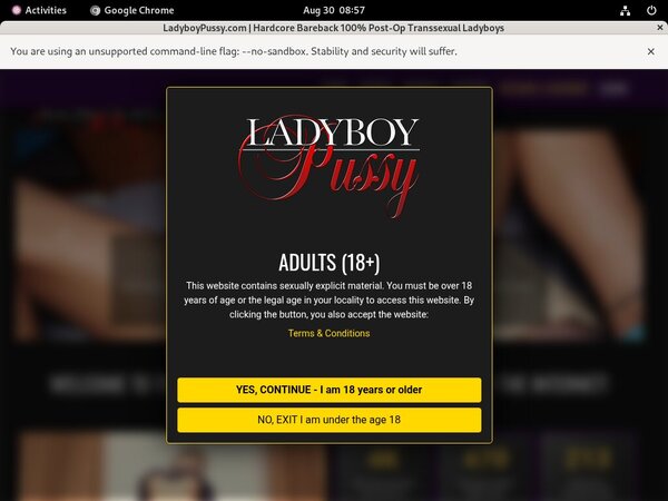 Ladyboypussy Account 2016