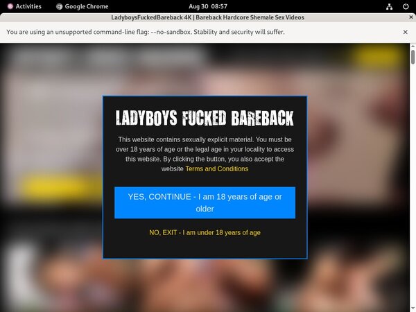 Ladyboysfuckedbareback User And Pass