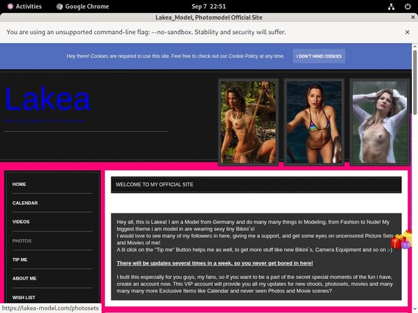 Lakea_Model Payment Methods