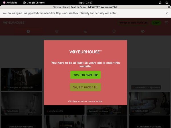 Limited Voyeurhouse.com Promo