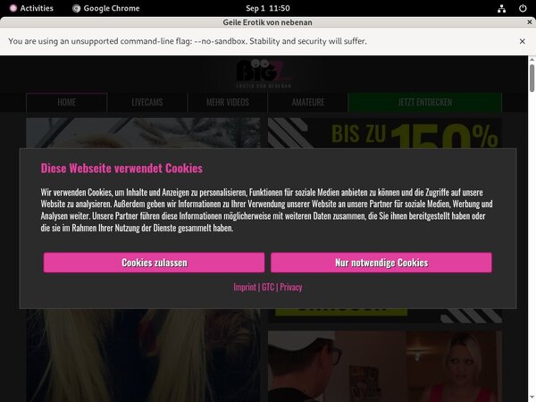 LindaKiss.com Website Accounts