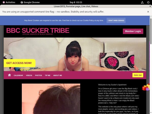 Linxer2013.modelcentro.com Cuentas Gratis