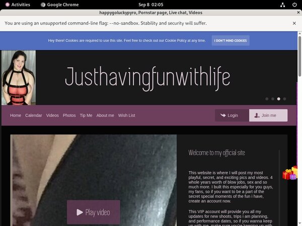 Log In Happygoluckypyro.com