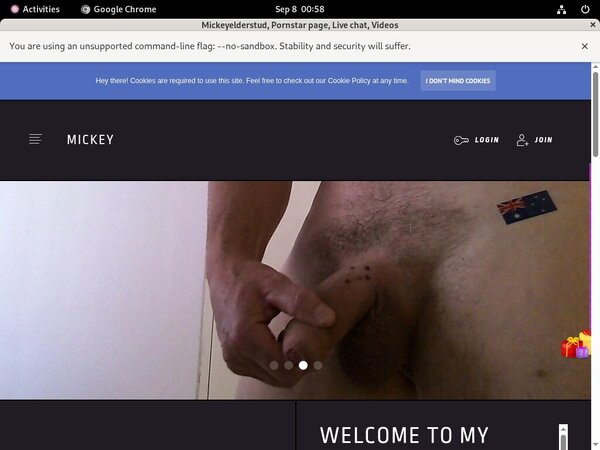 Logins For Mickeyelderstud.modelcentro.com