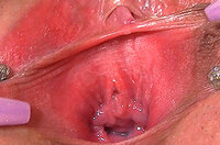 Membership Trial Gapemypussy.com s3