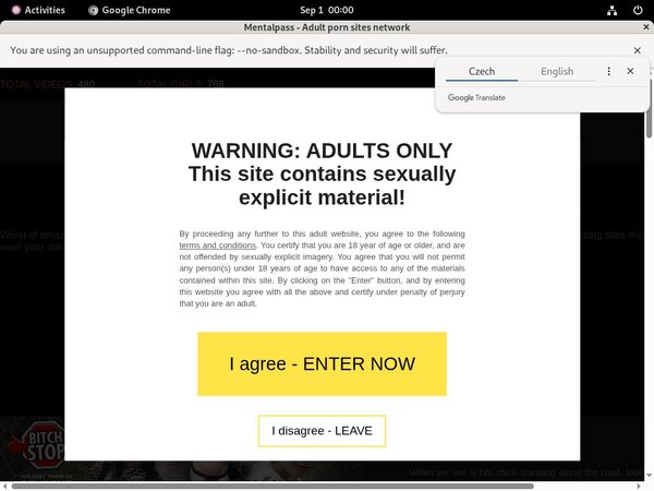 Mentalpass.com Gay Sex