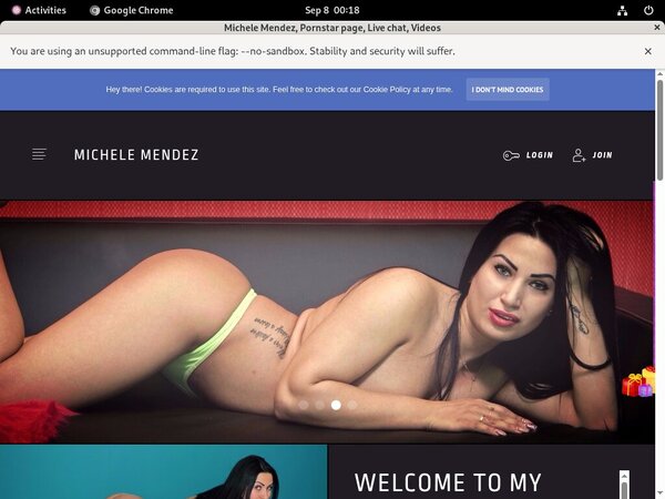 Michele Mendez Free Logins 2018
