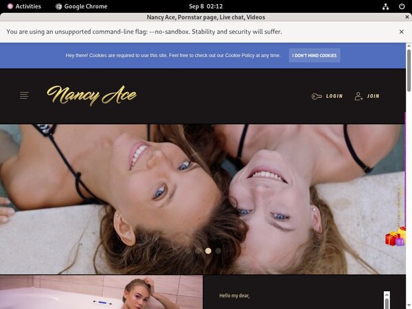 Nancy Ace Payment Page