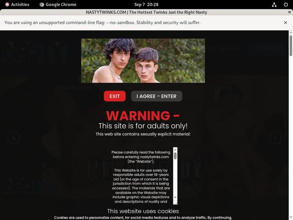 Nastytwinks.com Accounts And Password