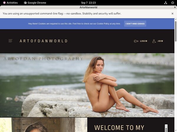 New Artofdan Accounts