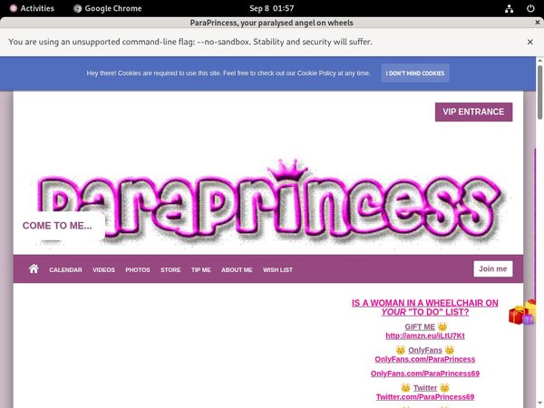 ParaPrincess Accounts And Password