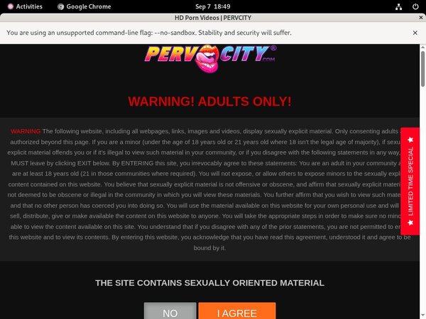 Pervcity.com Bank