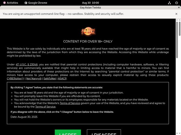 Premium Gayasiantwinkz Site Rip