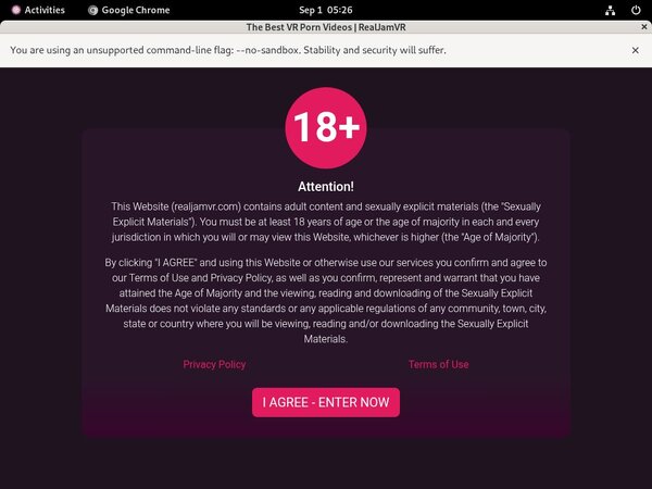 Realjamvr Gratis Password