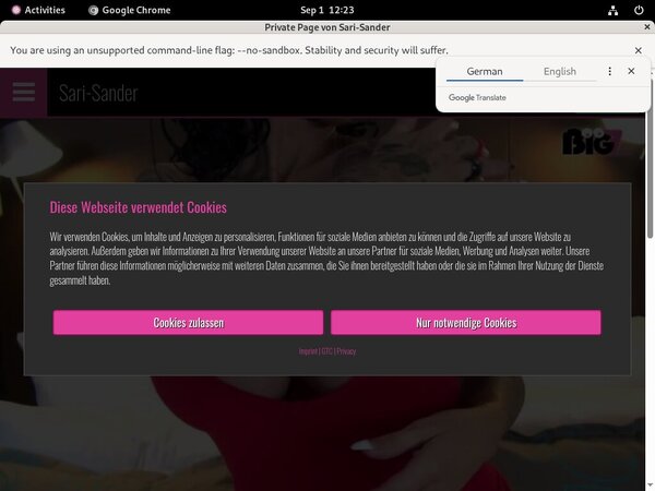 Sari Sander Billing Form