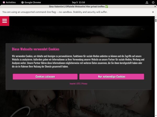 Sina-valentini.de With Discover Card