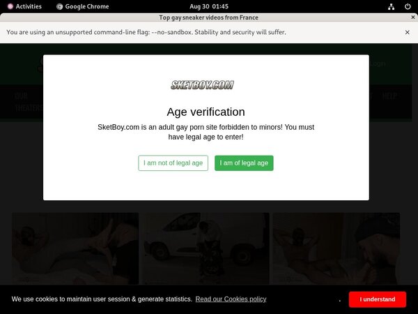 Sketboy.com Working Passwords