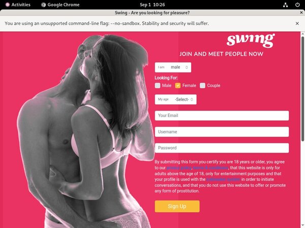 [Image: Swingnet-2019.jpg]