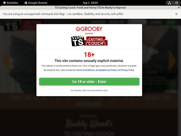TS Casting Couch Promo Code