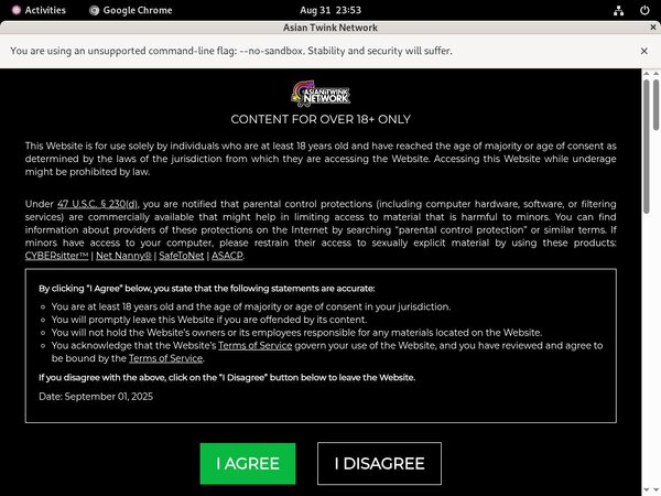 Thaigayboys.com Sale