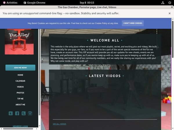 Thealleywynwood.modelcentro.com Discount Rate