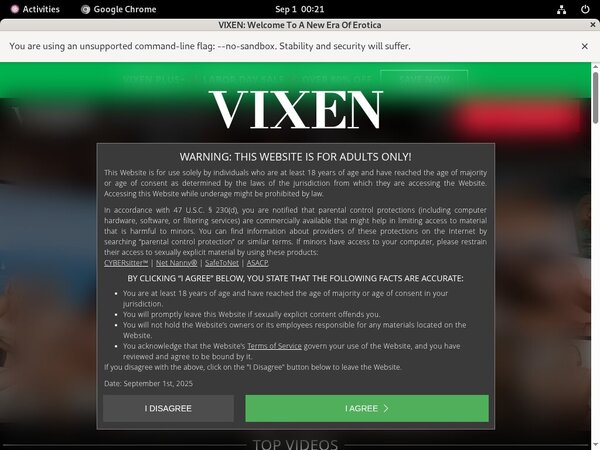 Vixen.com Model Vixen.com Model