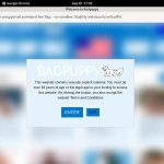 Working Badpuppy Password
