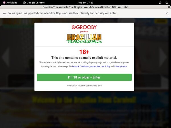 X Videos Brazilian Transsexuals